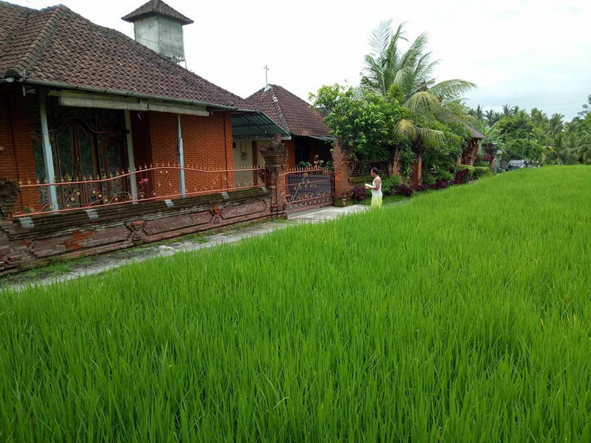 Hotel Tri Hita Karana House Mas  Esterno foto